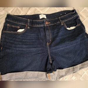 Lane Bryant Jean Shorts